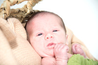 Brooks Newborn