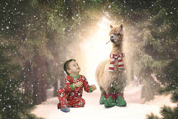 Digital Background by Tara Mapes